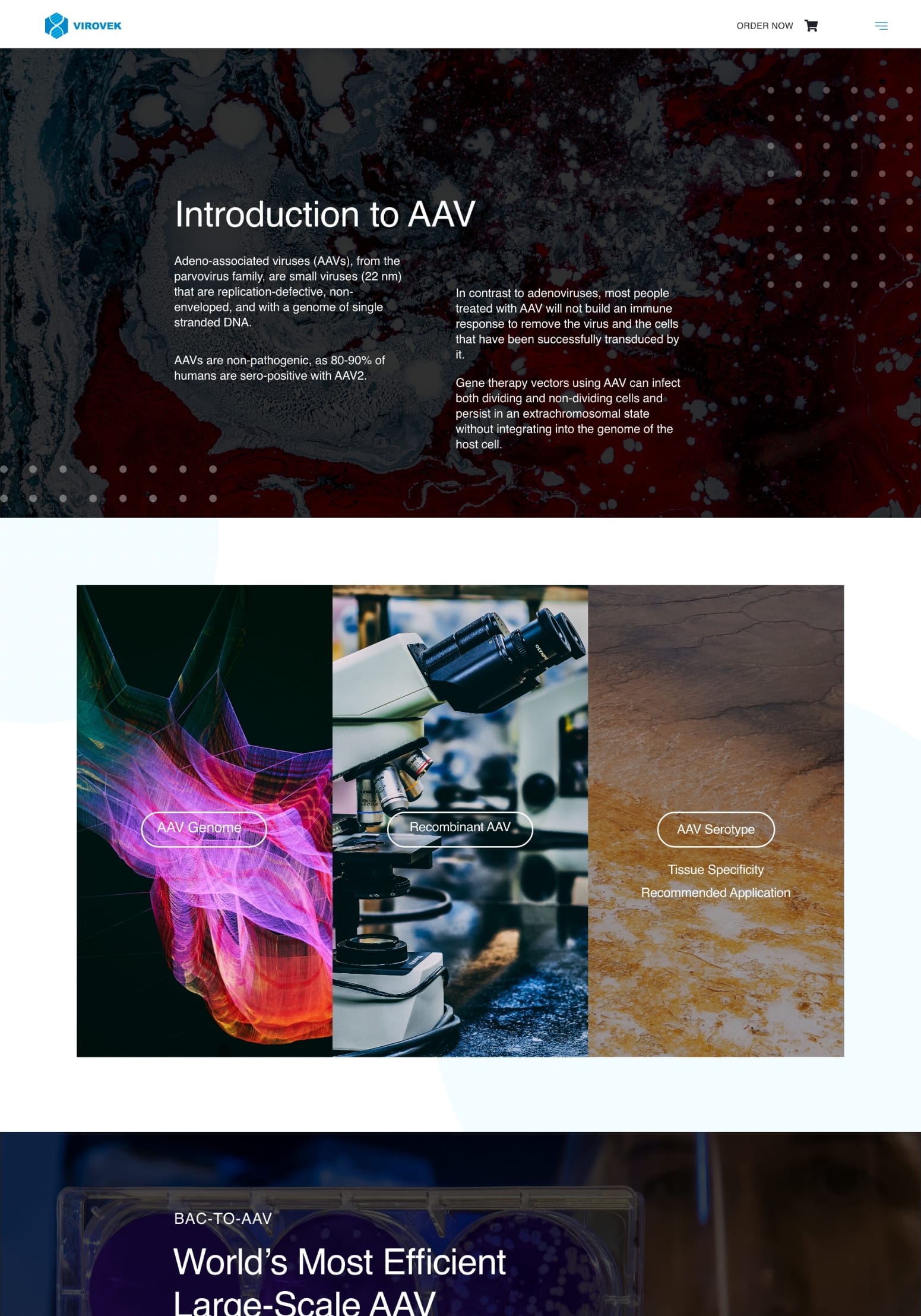 AAV System